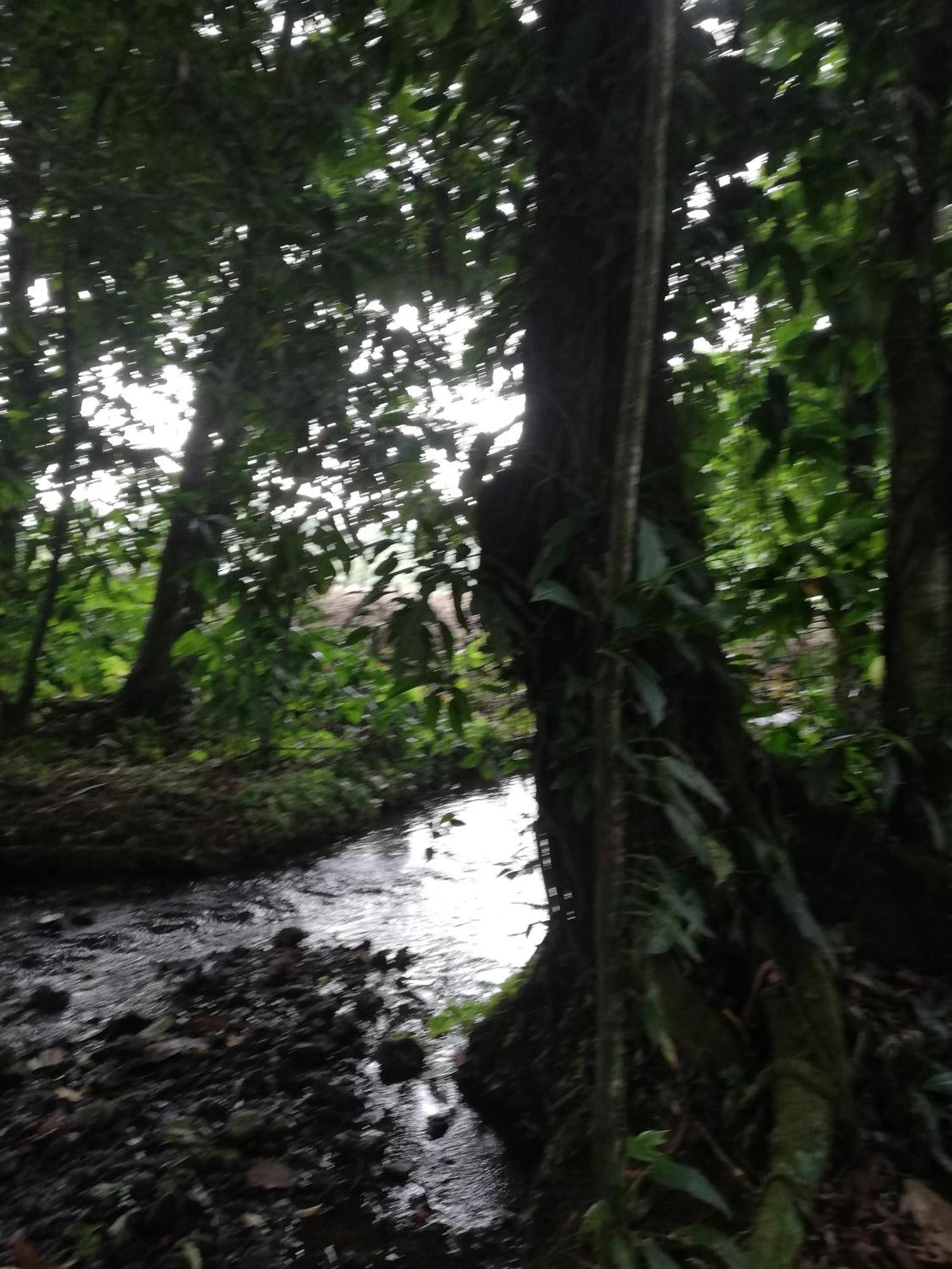 Paraiso Verde Siqurres Da Alegria Exterior photo