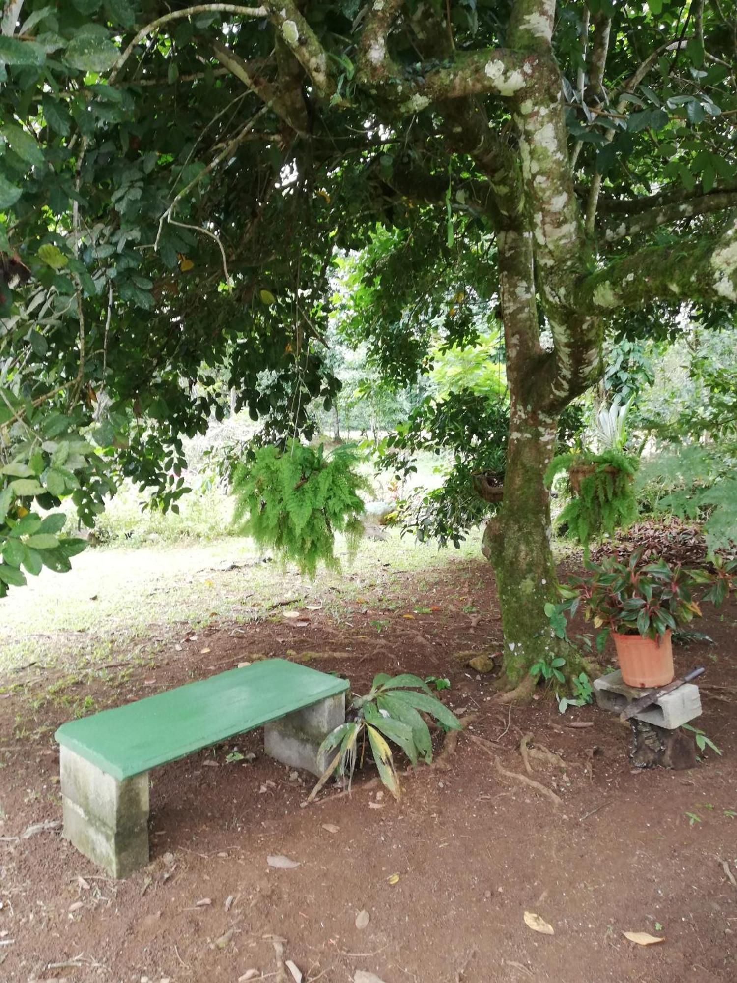 Paraiso Verde Siqurres Da Alegria Exterior photo